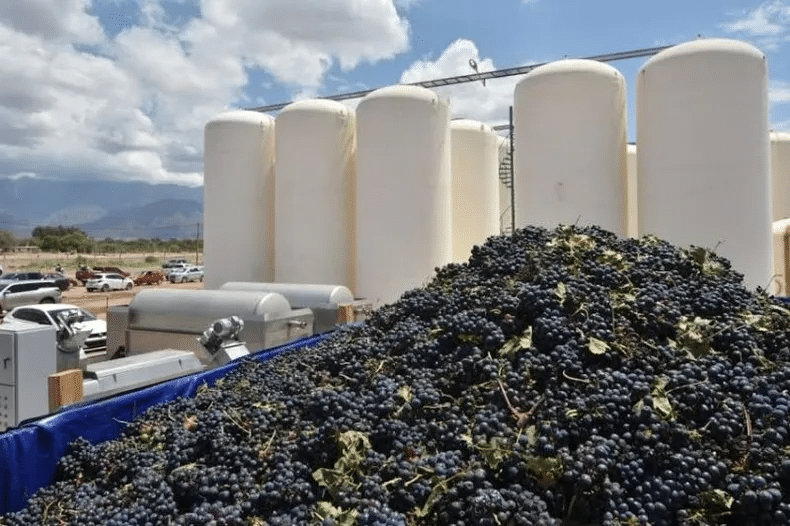 Bodega 12 Pueblos