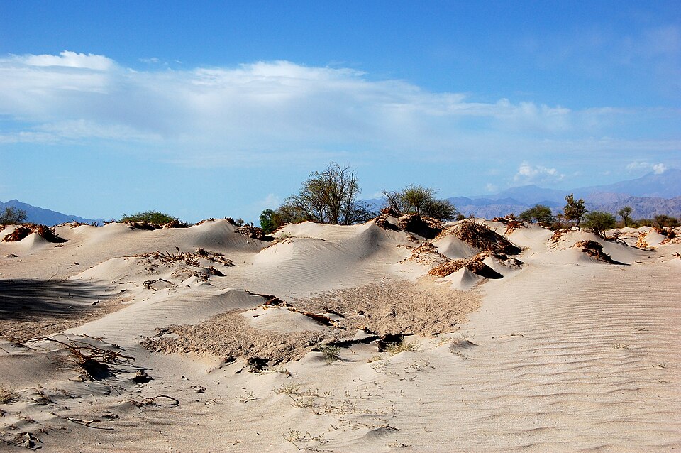Dunas de Fiambalá / Tatón