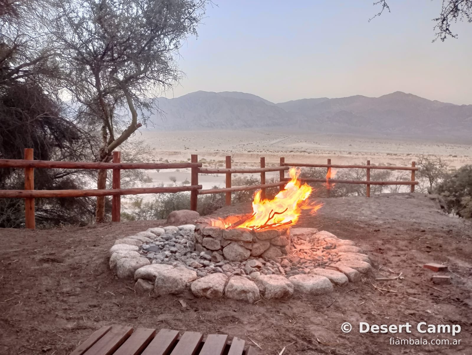 Desert Camp