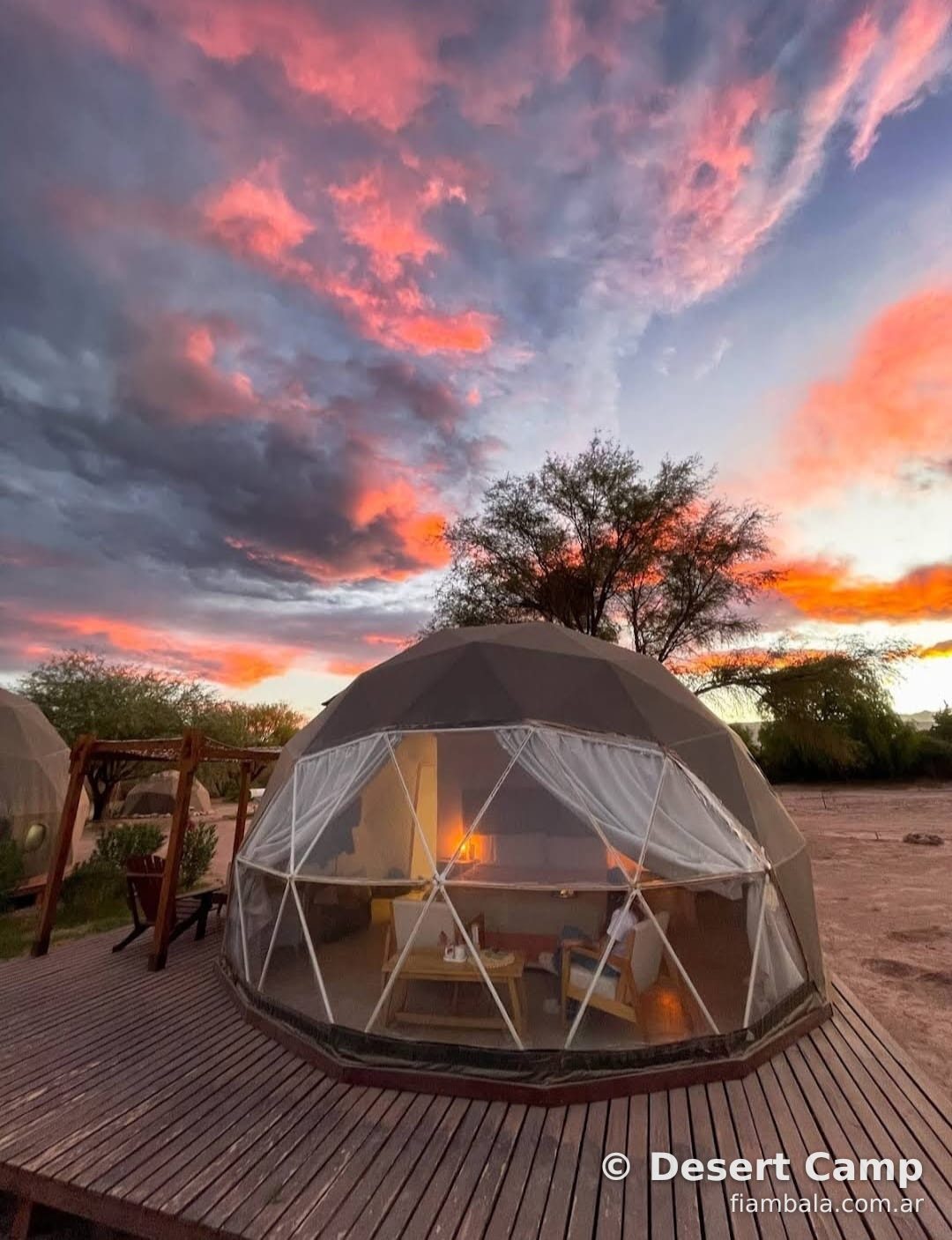 Desert Camp